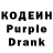 Codein Purple Drank Kristina Karaulova